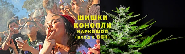СК Бородино